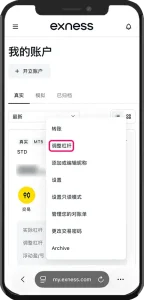 選擇「調整槓桿」