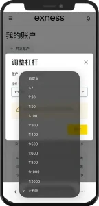 選擇槓桿比例